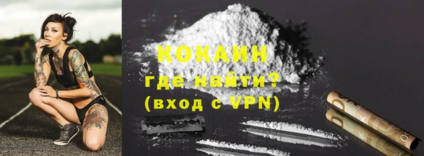 гидра Дмитров