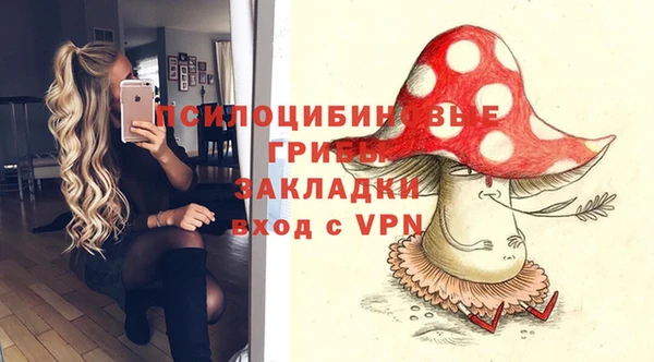 молекула духа Дмитровск