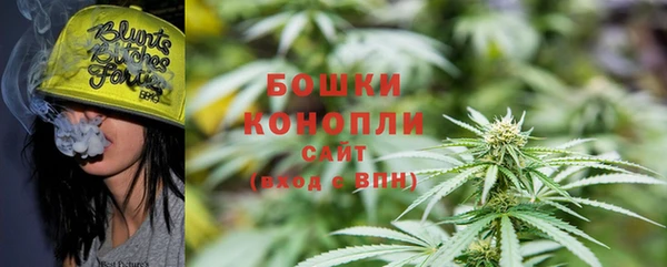 гидра Дмитров