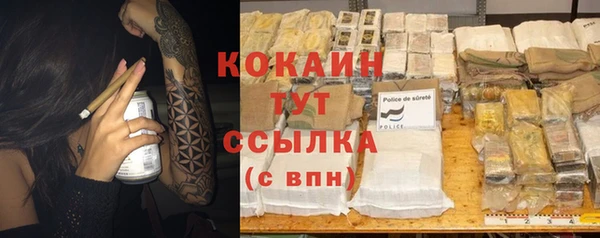 молекула духа Дмитровск