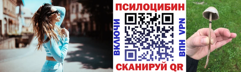 Купить закладки  Ардон  Галлюциногенные грибы мухоморы 